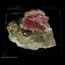 Mineral Specimen: Rhodonite, Chalcopyrite from Conselheiro Lafaiete, Minas Gerais, Brazil Mineral Specimen: Rhodonite, Chalcopyrite from Conselheiro Lafaiete, Minas Gerais, Brazil