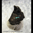 Mineral Specimen: Jungite (Micromount - specimen is 5 mm across) from Caspar quarry, Bellerberg volcano, Ettringen, Mayen, Mayen-Koblenz, Rhineland-Palatinate, Germany, Ex. Wolfgang Henkel Mineral Specimen: Jungite (Micromount - specimen is 5 mm across) from Caspar quarry, Bellerberg volcano, Ettringen, Mayen, Mayen-Koblenz, Rhineland-Palatinate, Germany, Ex. Wolfgang Henkel