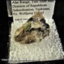Mineral Specimen: Turkestanite from Dara-i-Pioz Glacier, Alai Range, Tien Shan Mtn, Districts of Republican Subordination, Tajikistan, Ex. Wolfgang Henkel Mineral Specimen: Turkestanite from Dara-i-Pioz Glacier, Alai Range, Tien Shan Mtn, Districts of Republican Subordination, Tajikistan, Ex. Wolfgang Henkel