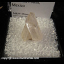 Mineral Specimen: Danburite from Mina San Bartolo, Charcas, San Luis Potosi, Mexico