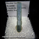 Mineral Specimen: Kyanite, Bicolor and Gemmy from Vitoria da Conquista, Bahia, Brazil Mineral Specimen: Kyanite, Bicolor and Gemmy from Vitoria da Conquista, Bahia, Brazil