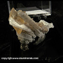 Mineral Specimen: Calcite, Celestine from Holloway Quarry, Berlin Twp., Monroe Co., Michigan Mineral Specimen: Calcite, Celestine from Holloway Quarry, Berlin Twp., Monroe Co., Michigan