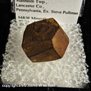 Mineral Specimen: Limonite Pseudomorph after Pyrite from Fruitville Pike Limonite occurrence, Manheim Twp., Lancaster Co., Pennsylvania, Ex. Steve Pullman
