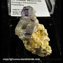 Mineral Specimen: Fluorite, Yellow Muscovite from Erongo Mountain, Namibia Mineral Specimen: Fluorite, Yellow Muscovite from Erongo Mountain, Namibia