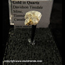 Mineral Specimen: Gold in Quartz from Davidson Tinsdale Mine, Timmins, Ontario, Canada Mineral Specimen: Gold in Quartz from Davidson Tinsdale Mine, Timmins, Ontario, Canada
