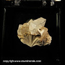 Mineral Specimen: Pectolite, Apophyllite from Prospect Park Quarry, Prospect Park, Passaic Co., New Jersey