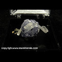 Mineral Specimen: Fluorite, Quartz, Sulfides from Blue Moon Pocket, Main Stope, Sweet Home Mine, Alma District, Colorado, June, 1996 Mineral Specimen: Fluorite, Quartz, Sulfides from Blue Moon Pocket, Main Stope, Sweet Home Mine, Alma District, Colorado, June, 1996