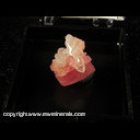 Mineral Specimen: Rhodochrosite, Quartz from 06-95 Pocket, New North Tetradrite Drift, Sweet Home Mine, Alma District, June, 1995 Mineral Specimen: Rhodochrosite, Quartz from 06-95 Pocket, New North Tetradrite Drift, Sweet Home Mine, Alma District, June, 1995