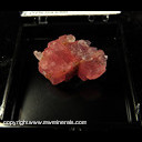 Mineral Specimen: Rhodochrosite, Fluorite, Quartz, Sulphides from Strawberry Pocket, Fluorite Rise, Sweet Home Mine, Alma District, Colorado, 1998 Mineral Specimen: Rhodochrosite, Fluorite, Quartz, Sulphides from Strawberry Pocket, Fluorite Rise, Sweet Home Mine, Alma District, Colorado, 1998