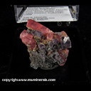 Mineral Specimen: Rhodochrosite, Fluorite, Quartz, Sulphides from Strawberry Pocket, Fluorite Rise, Sweet Home Mine, Alma District, Colorado, 1998 Mineral Specimen: Rhodochrosite, Fluorite, Quartz, Sulphides from Strawberry Pocket, Fluorite Rise, Sweet Home Mine, Alma District, Colorado, 1998