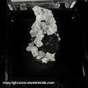 Mineral Specimen: Fluorite, Sphalerite, Quartz, Chalcopyrite from Blueberry Pocket, GPR Drift, Sweet Home Mine, Alma District, Park Co., Colorado, September, 1996 Mineral Specimen: Fluorite, Sphalerite, Quartz, Chalcopyrite from Blueberry Pocket, GPR Drift, Sweet Home Mine, Alma District, Park Co., Colorado, September, 1996