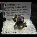 Mineral Specimen: Fluorite on Tetrahedrite from Blueberry Pocket, GPR Drift, Sweet Home Mine, Alma District, Park Co., Colorado, September, 1996 Mineral Specimen: Fluorite on Tetrahedrite from Blueberry Pocket, GPR Drift, Sweet Home Mine, Alma District, Park Co., Colorado, September, 1996