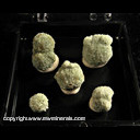 Mineral Specimen: Glauconite and Sand Concretion from Green Co., Wisconsin Collected by Jim Defoe Mineral Specimen: Glauconite and Sand Concretion from Green Co., Wisconsin Collected by Jim Defoe