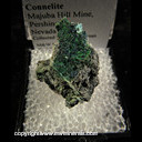 Mineral Specimen: Clinoclase, Connellite from Majuba Hill Mine, Pershing Co., Nevada Mineral Specimen: Clinoclase, Connellite from Majuba Hill Mine, Pershing Co., Nevada