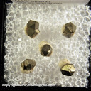 Mineral Specimen: Pyrite from Isle of Elba, Italy Ex. Steve Pullman Mineral Specimen: Pyrite from Isle of Elba, Italy Ex. Steve Pullman