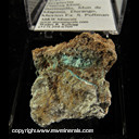 Mineral Specimen: Schulenberite, Serpierite from Platosa Mine, Bermejillo, Mun. de Mapimi, Durango, Mexico Ex. S. Pullman Mineral Specimen: Schulenberite, Serpierite from Platosa Mine, Bermejillo, Mun. de Mapimi, Durango, Mexico Ex. S. Pullman