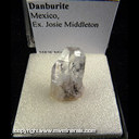 Mineral Specimen: Danburite (gemmy) from Mexico, Ex. Josie Middleton