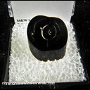 Mineral Specimen: Black Coral from Hawaii Mineral Specimen: Black Coral from Hawaii