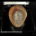 Mineral Specimen: Botswana Agate from Botswana Mineral Specimen: Botswana Agate from Botswana