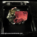 Mineral Specimen: Rhodochrosite (cleaved), Chalcopyrite, Tetrahedrite from Corner Pocket, Watercourse Rise, Watercourse Extension Drift, Sweet Home Mine, Alma District, Park Co., Colorado, September, 1994 Mineral Specimen: Rhodochrosite (cleaved), Chalcopyrite, Tetrahedrite from Corner Pocket, Watercourse Rise, Watercourse Extension Drift, Sweet Home Mine, Alma District, Park Co., Colorado, September, 1994