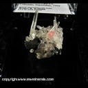 Mineral Specimen: Quartz, Rhodochrosite, Tetrahedrite from Corner Pocket, Watercourse Rise, Watercourse Extension Drift, Sweet Home Mine, Alma District, Park Co., Colorado, September, 1994 Mineral Specimen: Quartz, Rhodochrosite, Tetrahedrite from Corner Pocket, Watercourse Rise, Watercourse Extension Drift, Sweet Home Mine, Alma District, Park Co., Colorado, September, 1994