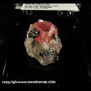 Mineral Specimen: Rhodochrosite, Quartz, Tetrahedrite from Blue Moon Pocket, Main Stope, Sweet Home Mine, Alma District, Colorado, June, 1996 Mineral Specimen: Rhodochrosite, Quartz, Tetrahedrite from Blue Moon Pocket, Main Stope, Sweet Home Mine, Alma District, Colorado, June, 1996