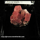 Mineral Specimen: Rhodochrosite, Quartz, Tetrahedrite from Corner Pocket, Watercourse Rise, Watercourse Extension Drift, Sweet Home Mine, Alma District, Park Co., Colorado, September, 1994 Mineral Specimen: Rhodochrosite, Quartz, Tetrahedrite from Corner Pocket, Watercourse Rise, Watercourse Extension Drift, Sweet Home Mine, Alma District, Park Co., Colorado, September, 1994