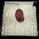 Mineral Specimen: Ruby Corundum from Cowee Valley, Macon Co., North Carolina Mineral Specimen: Ruby Corundum from Cowee Valley, Macon Co., North Carolina
