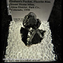 Mineral Specimen: Tetrahedrite from Graham's Pocket, Fluorite Rise, Sweet Home Mine, Alma District, Park Co., Colorado, 1998 Mineral Specimen: Tetrahedrite from Graham's Pocket, Fluorite Rise, Sweet Home Mine, Alma District, Park Co., Colorado, 1998