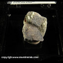 Mineral Specimen: Lawsonite, Muscovite from Reed Station, Tiburon Peninsula, Marin Co., California, Ex. Steve Pullman from trade with California Academy of Sciences Mineral Specimen: Lawsonite, Muscovite from Reed Station, Tiburon Peninsula, Marin Co., California, Ex. Steve Pullman from trade with California Academy of Sciences