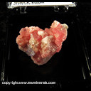 Mineral Specimen: Rhodochrosite, Quartz, Fluorite from Corner Pocket, Watercourse Rise, Watercourse Extension Drift, Sweet Home Mine, Alma District, Park Co., Colorado, September, 1994 Mineral Specimen: Rhodochrosite, Quartz, Fluorite from Corner Pocket, Watercourse Rise, Watercourse Extension Drift, Sweet Home Mine, Alma District, Park Co., Colorado, September, 1994