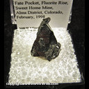 Mineral Specimen: Tetrahedrite from Fate Pocket, Fluorite Rise, Sweet Home Mine, Alma District, Colorado, 1998 Mineral Specimen: Tetrahedrite from Fate Pocket, Fluorite Rise, Sweet Home Mine, Alma District, Colorado, 1998