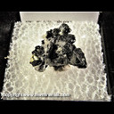 Mineral Specimen: Tetrahedrite, Quartz from Strawberry Pocket, Fluorite Rise, Sweet Home Mine, Alma District, Colorado, 1998 Mineral Specimen: Tetrahedrite, Quartz from Strawberry Pocket, Fluorite Rise, Sweet Home Mine, Alma District, Colorado, 1998