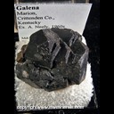 Mineral Specimen: Galena from Marion, Crittenden Co., Kentucky, Ex. A. Neely, 1960s Mineral Specimen: Galena from Marion, Crittenden Co., Kentucky, Ex. A. Neely, 1960s