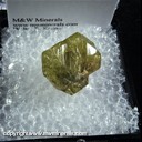 Mineral Specimen: Chrysoberyl from Espirito Santo, Brazil Mineral Specimen: Chrysoberyl from Espirito Santo, Brazil