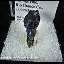 Mineral Specimen: Covellite, Pyrite from Summitville, Rio Grande Co., Colorado