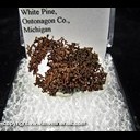 Mineral Specimen: Copper, Cubic Crystals from White Pine Mine, White Pine, Ontonagon County, Michigan Mineral Specimen: Copper, Cubic Crystals from White Pine Mine, White Pine, Ontonagon County, Michigan