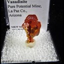 Mineral Specimen: Vanadinite from Pure Potential Mine, La Paz Co., Arizona Mineral Specimen: Vanadinite from Pure Potential Mine, La Paz Co., Arizona