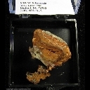 Mineral Specimen: Copper Crystal from Central Mine, Keweenaw Co., Michigan Mineral Specimen: Copper Crystal from Central Mine, Keweenaw Co., Michigan