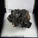 Mineral Specimen: Sphalerite from Indiana, Ex. Norm Woods Mineral Specimen: Sphalerite from Indiana, Ex. Norm Woods