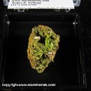 Mineral Specimen: Pyromorphite from Bunker Hill Mine, Kellogg, Couer d'Alene District, Shoshone Co., Idaho Mineral Specimen: Pyromorphite from Bunker Hill Mine, Kellogg, Couer d'Alene District, Shoshone Co., Idaho