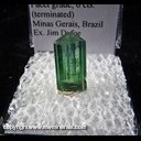 Mineral Specimen: Tourmaline -Elbaite , facet grade, 6 cts from Minas Gerais, Brazil, Ex. Jim Defoe