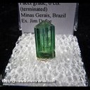 Mineral Specimen: Tourmaline -Elbaite , facet grade, 6 cts from Minas Gerais, Brazil, Ex. Jim Defoe Mineral Specimen: Tourmaline -Elbaite , facet grade, 6 cts from Minas Gerais, Brazil, Ex. Jim Defoe