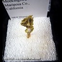 Mineral Specimen: Gold, Crystalized from Mockingbird Mine, Mariposa Co., California