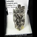 Mineral Specimen: Selenite from Madrid area, Dallas Co., Iowa, Ex. Norm Woods Mineral Specimen: Selenite from Madrid area, Dallas Co., Iowa, Ex. Norm Woods