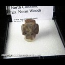 Mineral Specimen: Staurolite Twin variety: Fairy Cross from Cherokee Co., North Carolina, Ex. Norm Woods Mineral Specimen: Staurolite Twin variety: Fairy Cross from Cherokee Co., North Carolina, Ex. Norm Woods