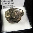 Mineral Specimen: Pyrite from Continental Cement Quarry, SE of Hanibal, Rulls Co., Missouri, Collected by Norm Woods Mineral Specimen: Pyrite from Continental Cement Quarry, SE of Hanibal, Rulls Co., Missouri, Collected by Norm Woods