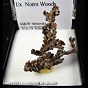 Mineral Specimen: Copper Crystals from Pinal Co. (likely Ray Mine), Arizona, Ex. Norm Woods