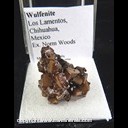 Mineral Specimen: Wulfenite from Los Lamentos, Chihuahua, Mexico, Ex. Norm Woods