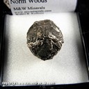 Mineral Specimen: Pyrite from Continental Cement Quarry, SE of Hanibal, Rulls Co., Missouri, Collected by Norm Woods Mineral Specimen: Pyrite from Continental Cement Quarry, SE of Hanibal, Rulls Co., Missouri, Collected by Norm Woods